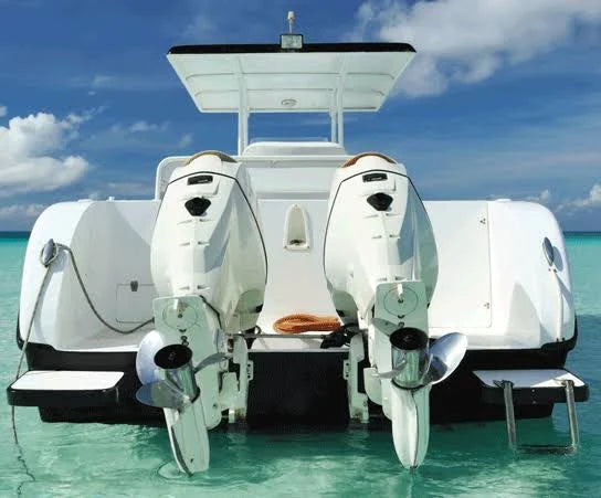22 x 102 Boat Cover with Fixed T-Tops and Bow Rails P531
