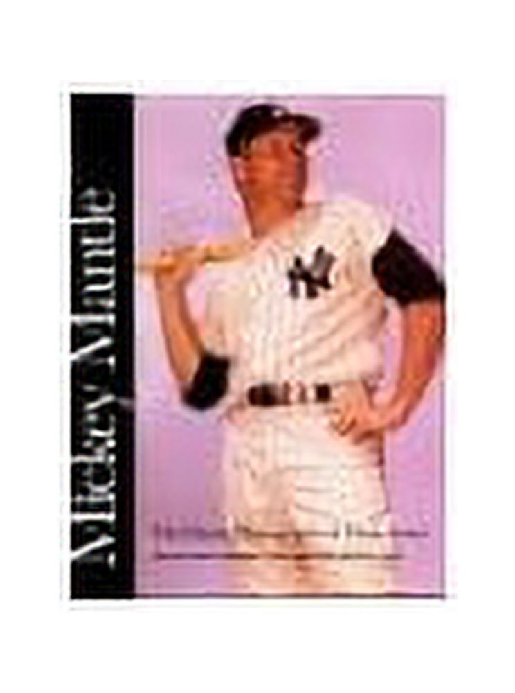 Mickey Mantle the Yankee Years Paperback J5657