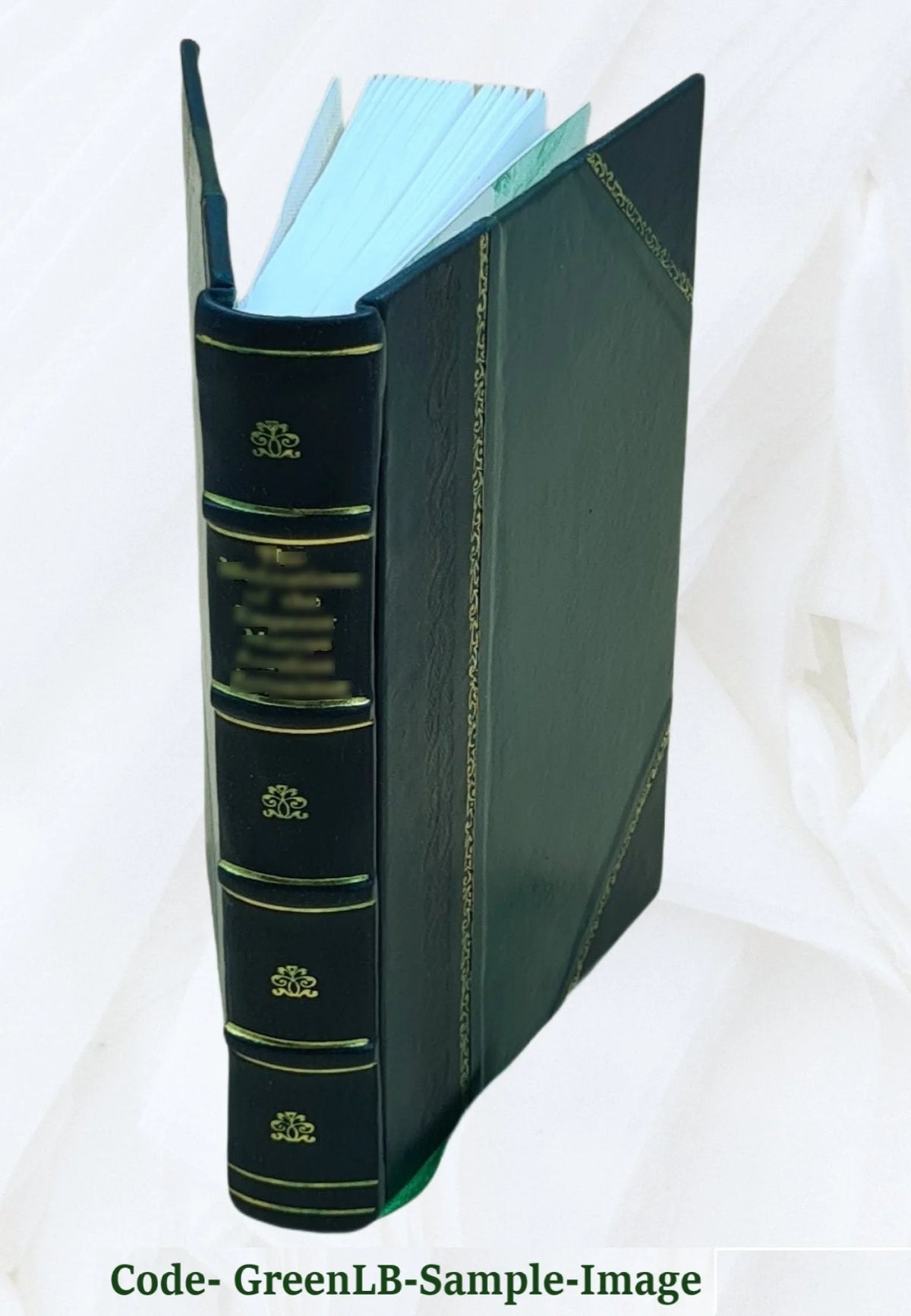 Leather Bound Book U29445