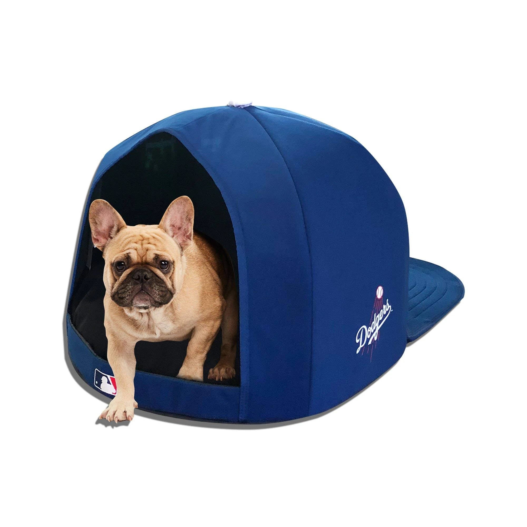 Plush Edition Cap Z559