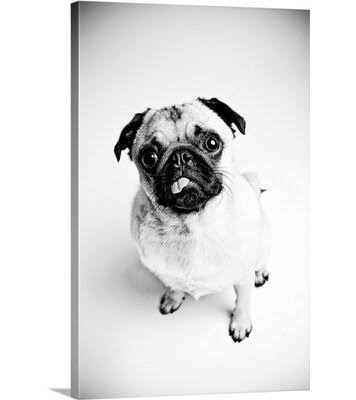 Photographic Print Canvas E41333