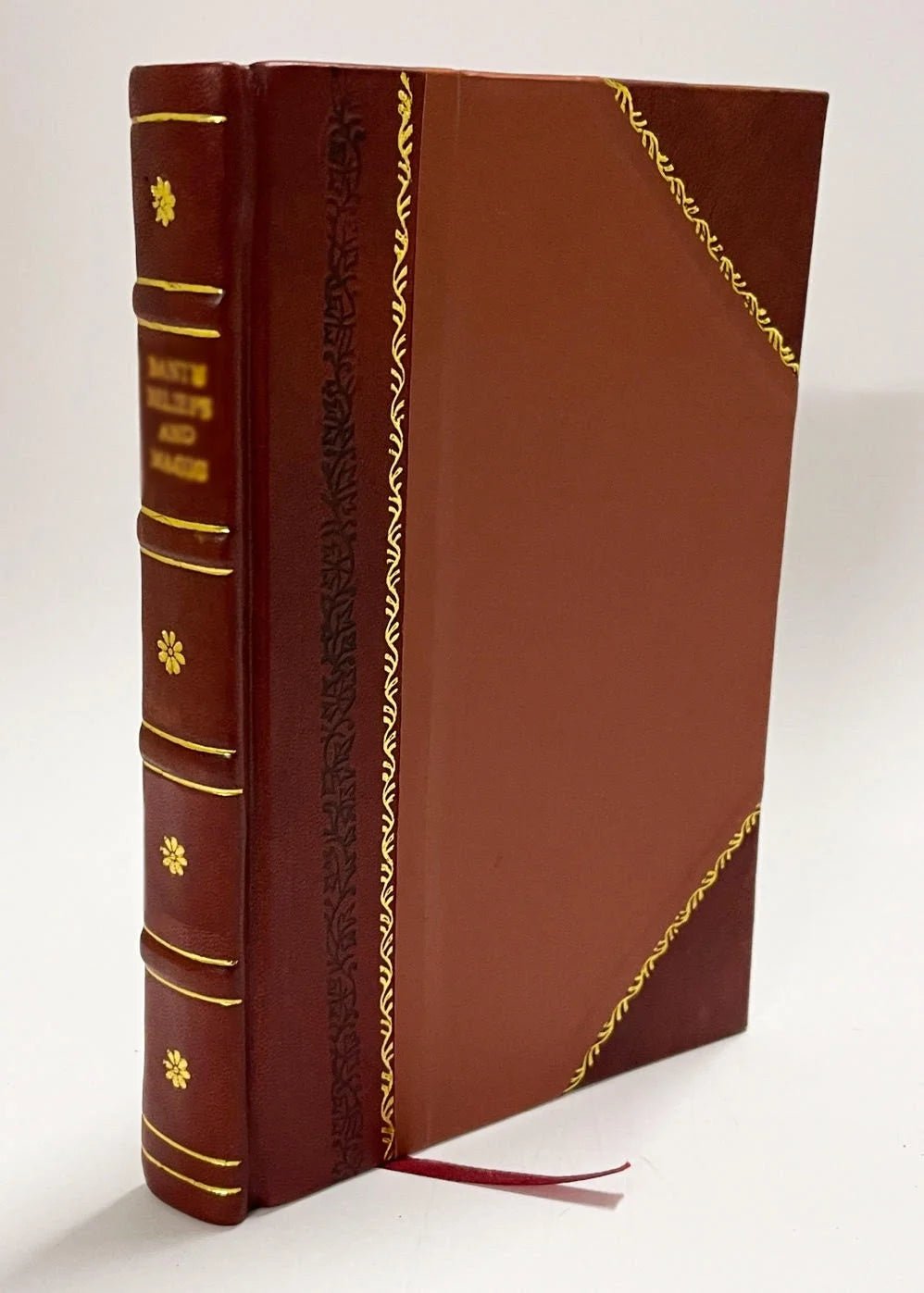 Leather Bound Book V4199