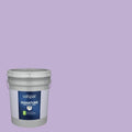 Interior Paint (5-Gallon) P872737