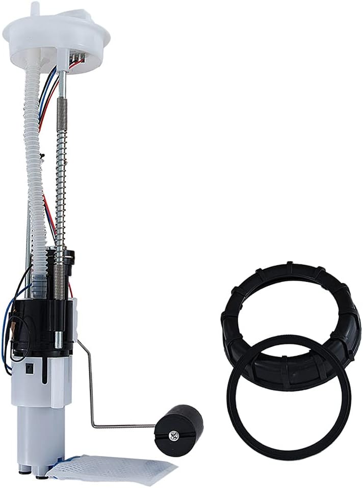 Polaris Fuel Pump Assembly Pack of 2 E231
