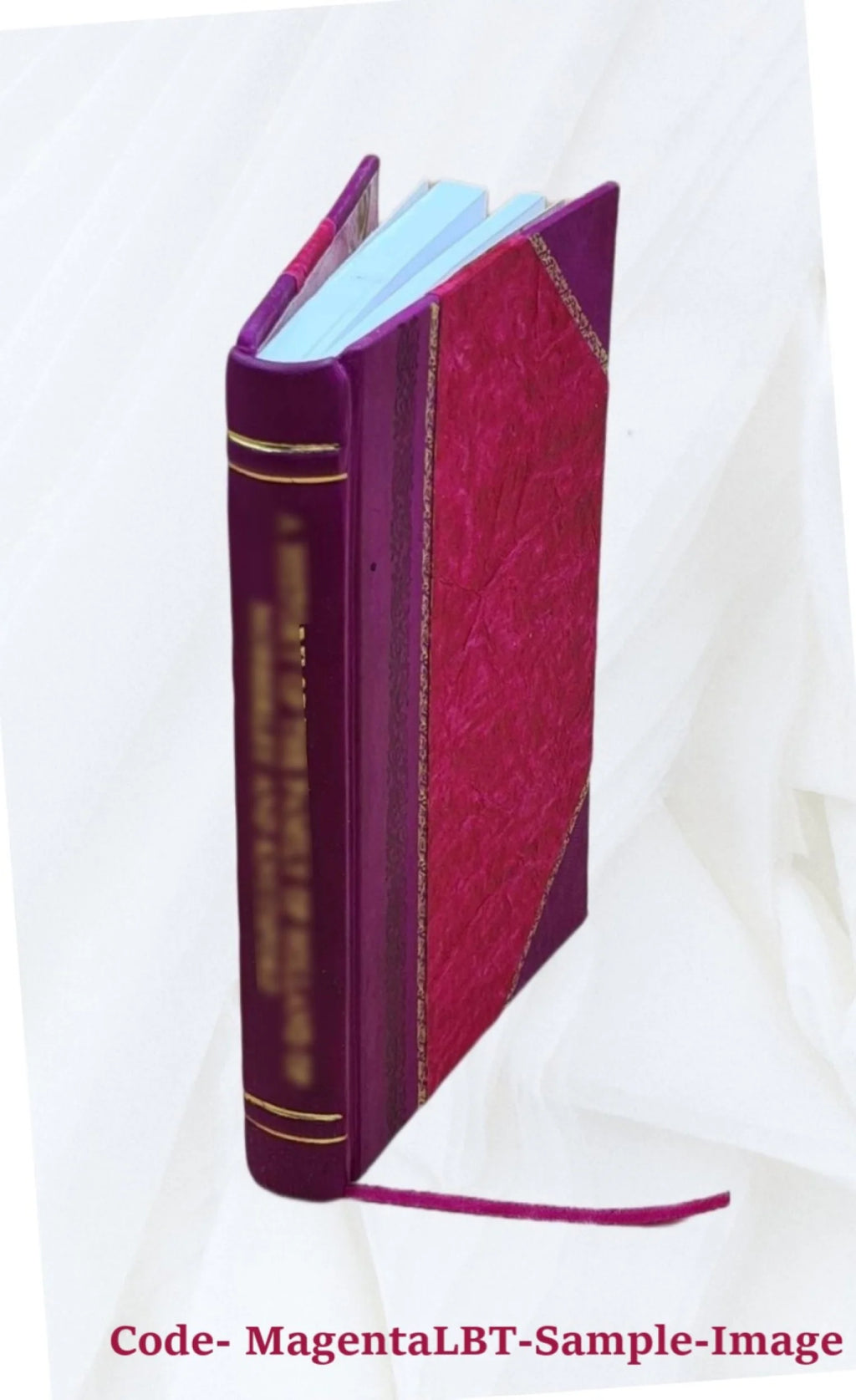 American National Anthem Illustrated Leather Bound Book V83054