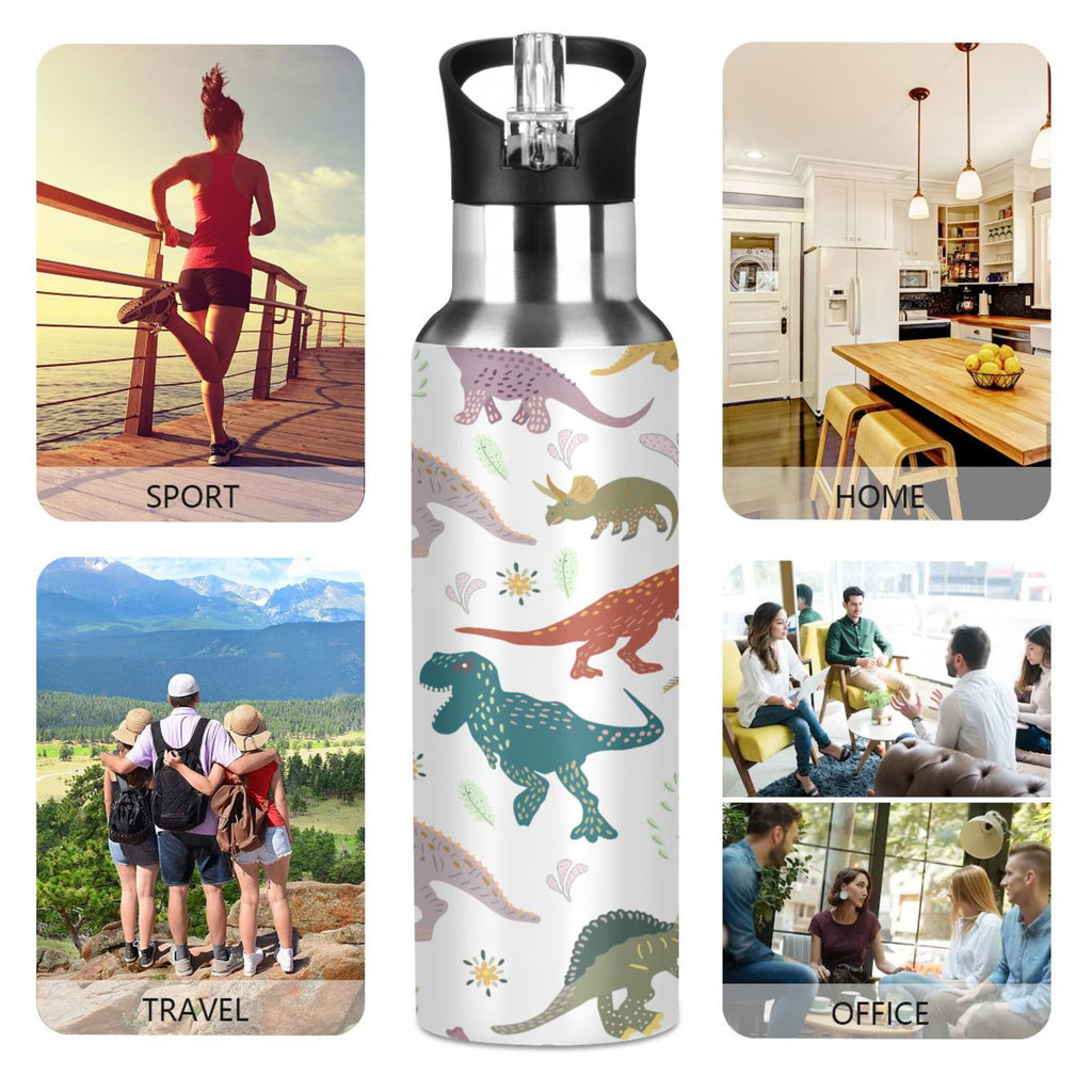 Stainless Steel Insulated Water Bottle with Straw Lid N740514