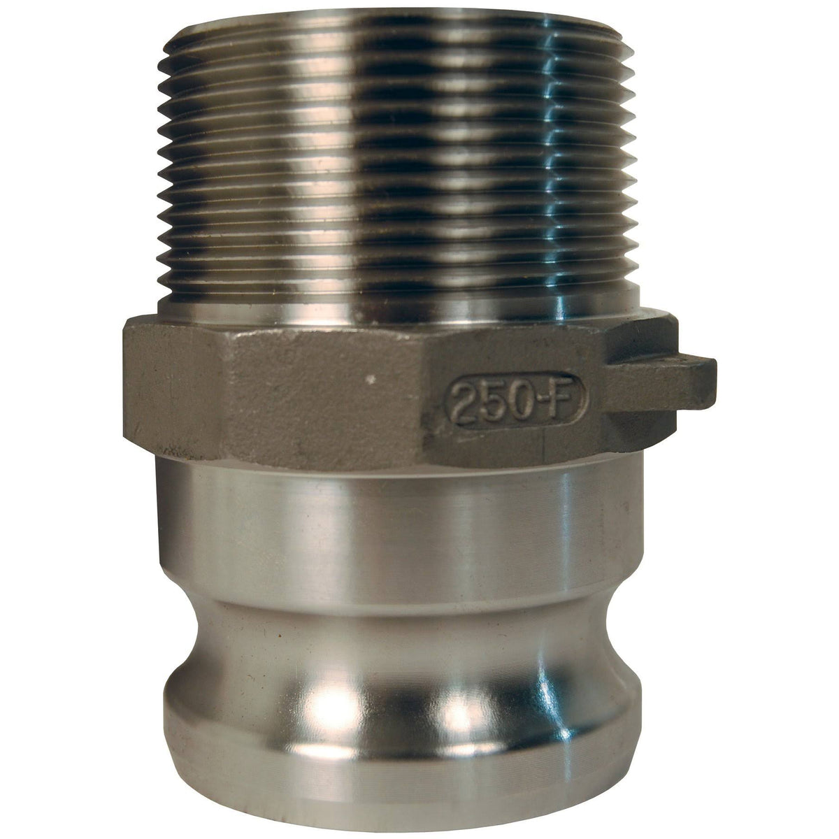 6 inch Stainless Male Adapter x Male NPT Cam and Groove N336840