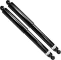 Rear Shock Absorbers for Ford F-150 Lincoln Mark LT, 2pc Set D602