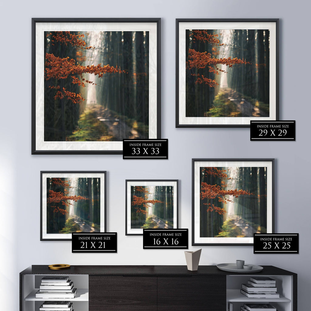 Three-Framed Giclee Print 28x28 X312629