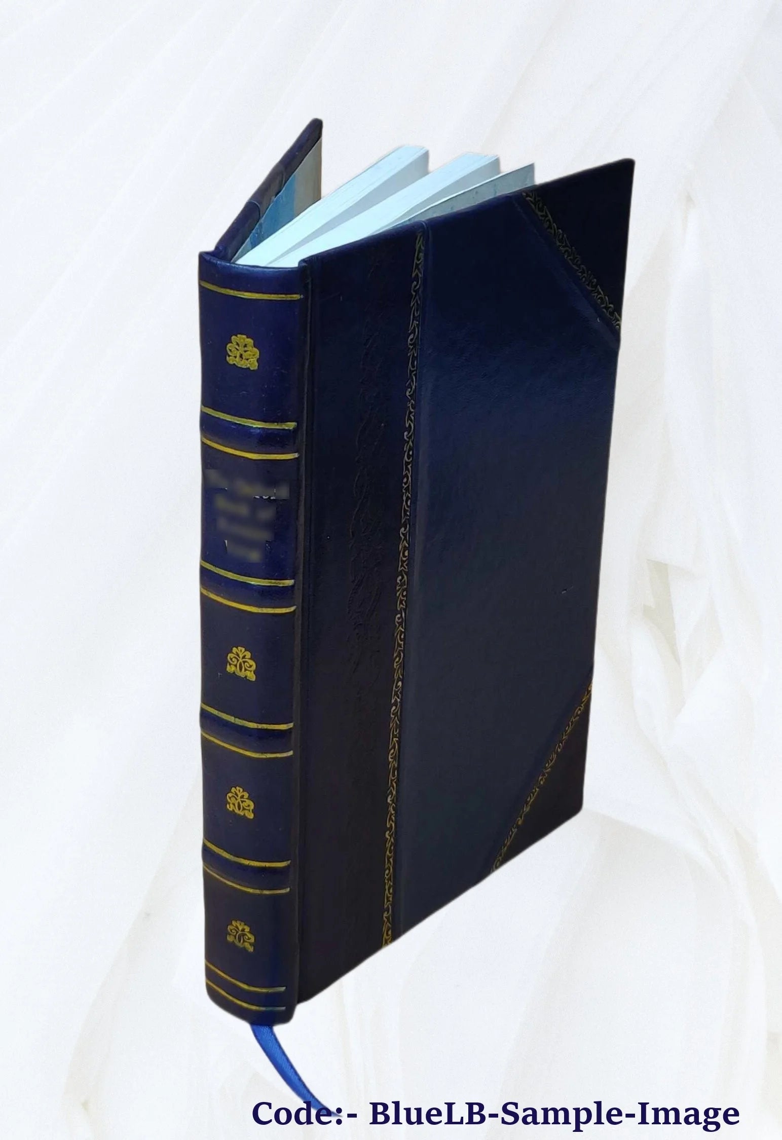 Leather Bound Book U29445