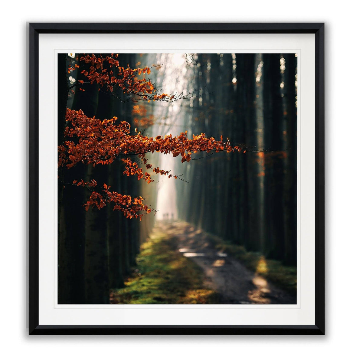 Three-Framed Giclee Print 28x28 X312629