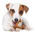 Bison Wishbone Dog Toy C211937