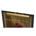 Satin Nickel 24x22 Picture Light C197