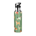 Green Insulated Stainless Steel Water Bottle with Straw Lid 20 oz R54354
