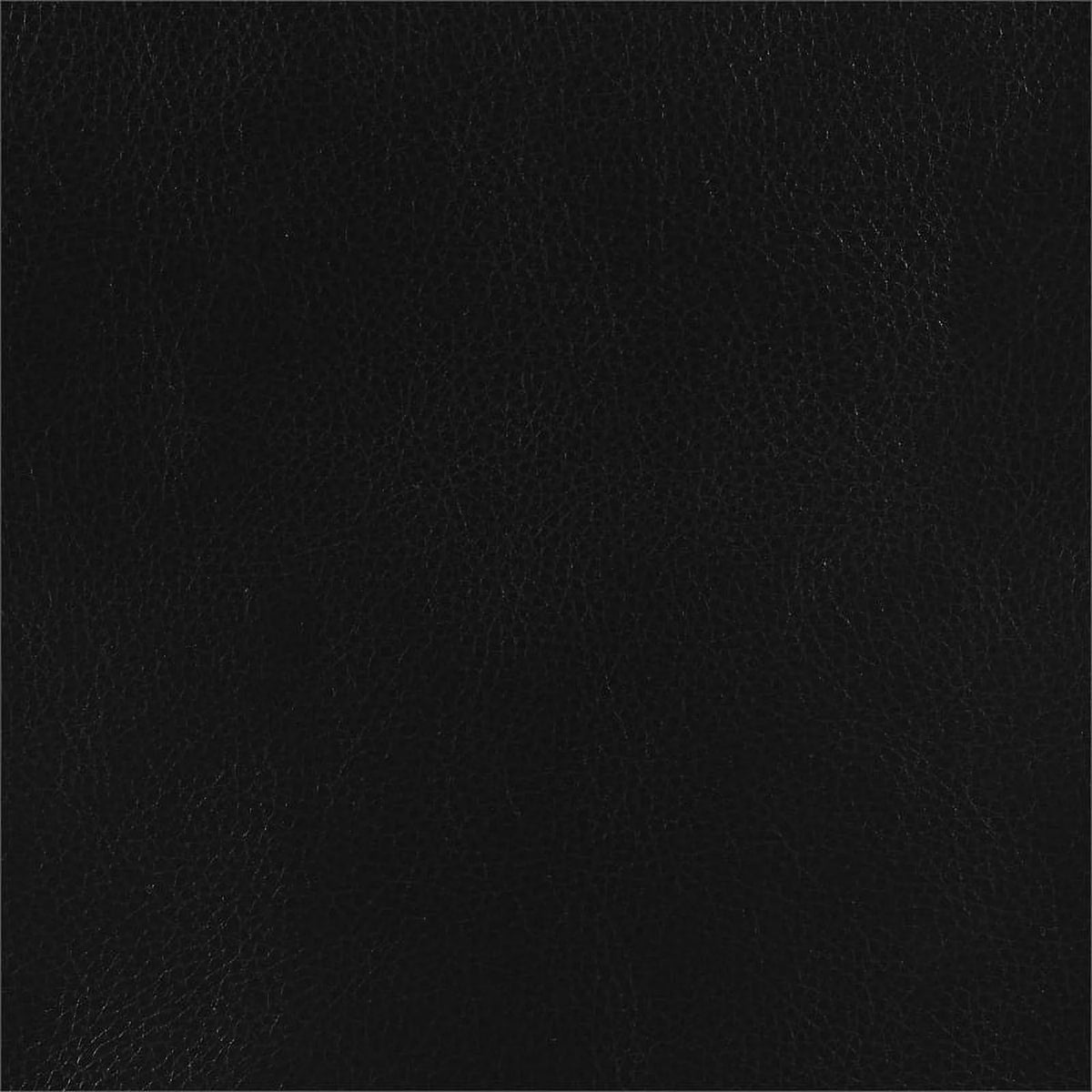 Modern Faux Leather Upholstered Turfed Chair in Black S159