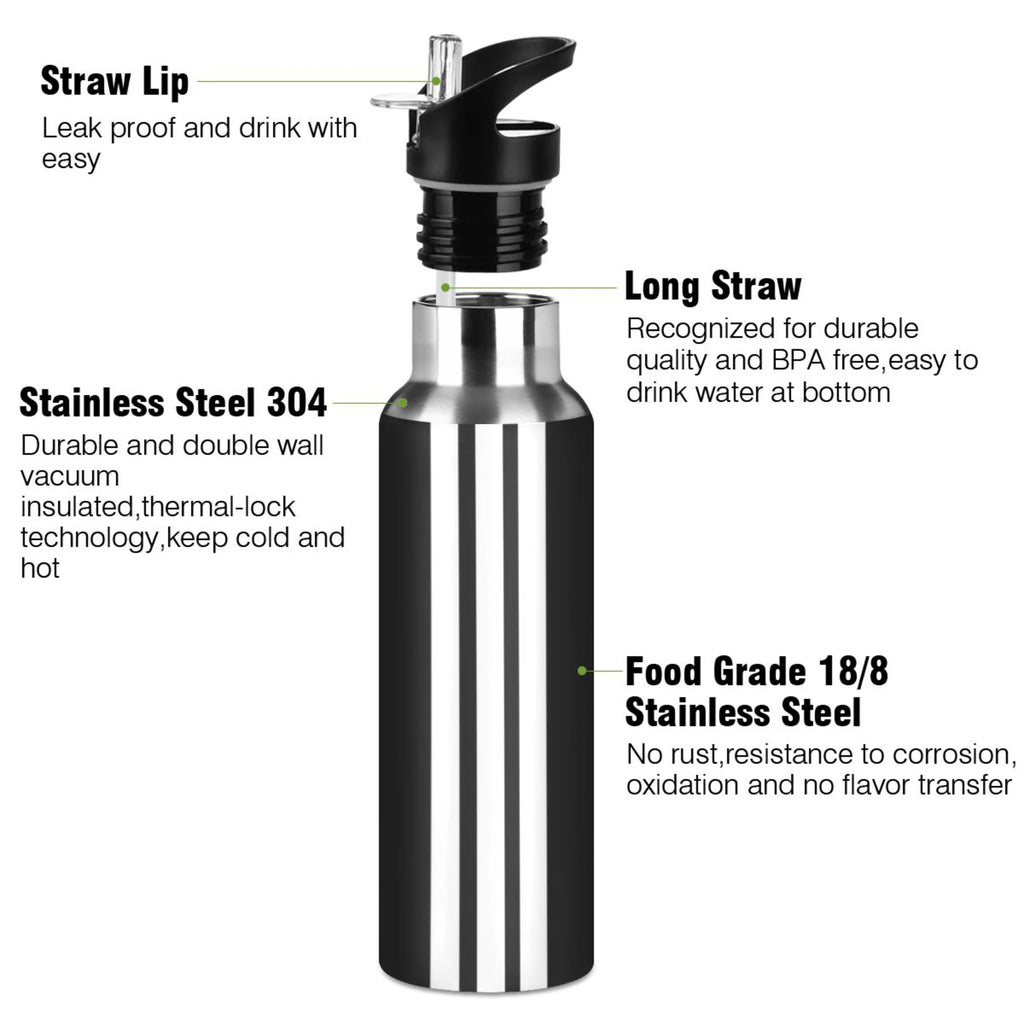 20 OZ Vacuum Insulated Stainless Steel Water Bottle with Straw Lid T74072