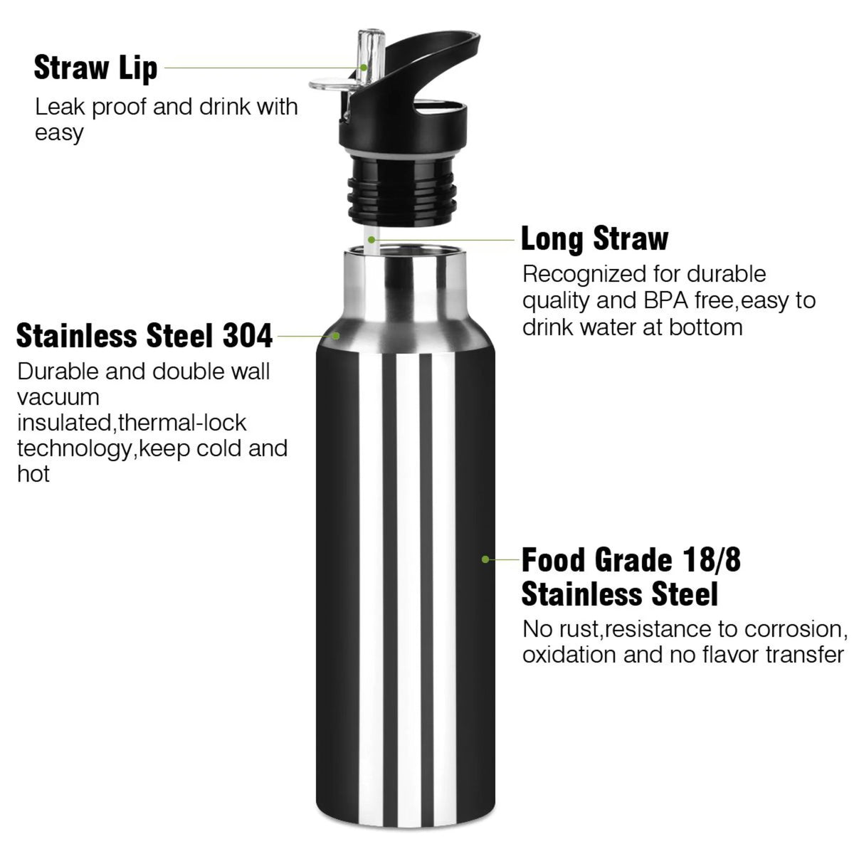 20 OZ Vacuum Insulated Stainless Steel Water Bottle with Straw Lid T74072