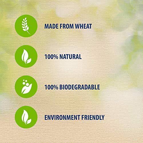 Biodegradable Natural Clumping Cat Litter 8L Z566376
