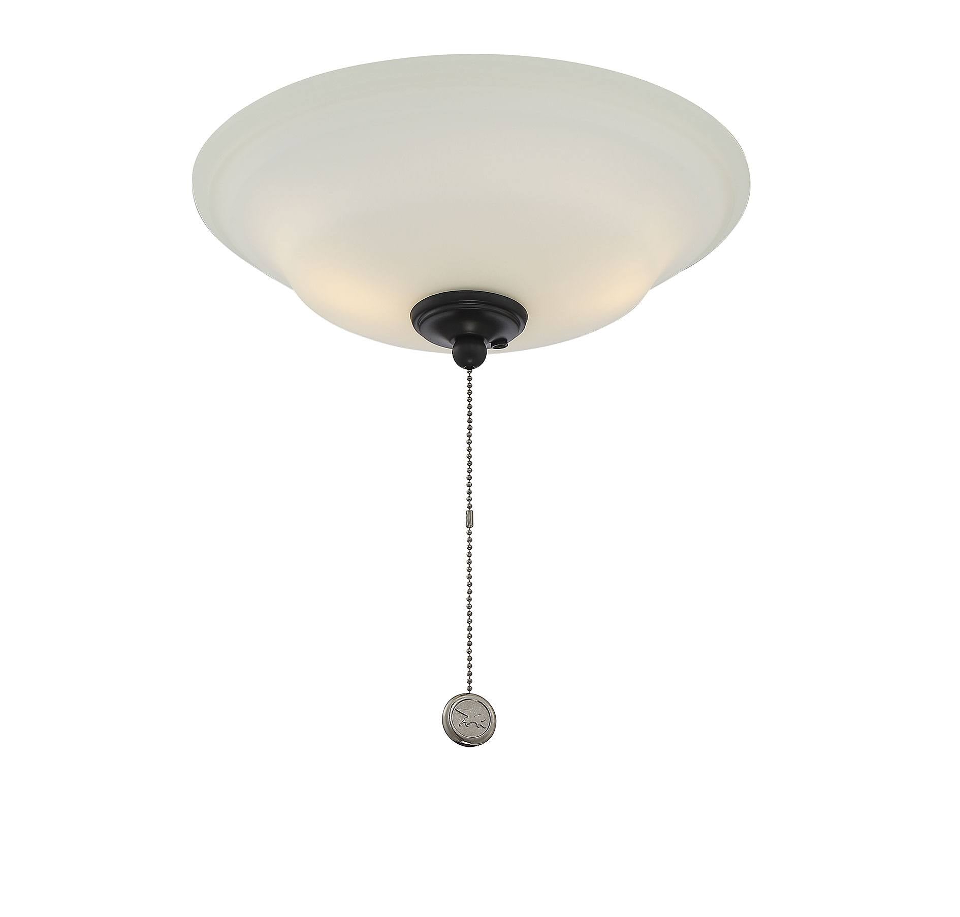 Matte Black Fan Light Kit Z934724
