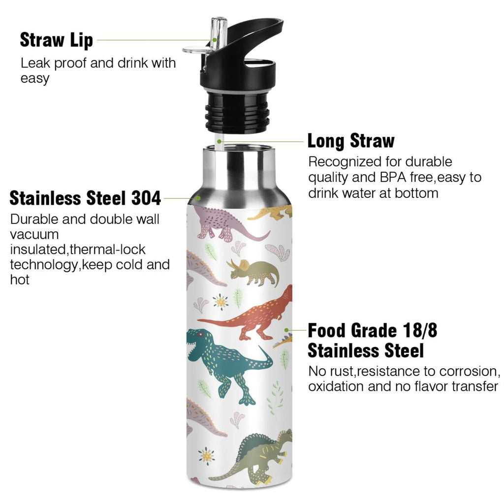 Stainless Steel Insulated Water Bottle with Straw Lid N740514