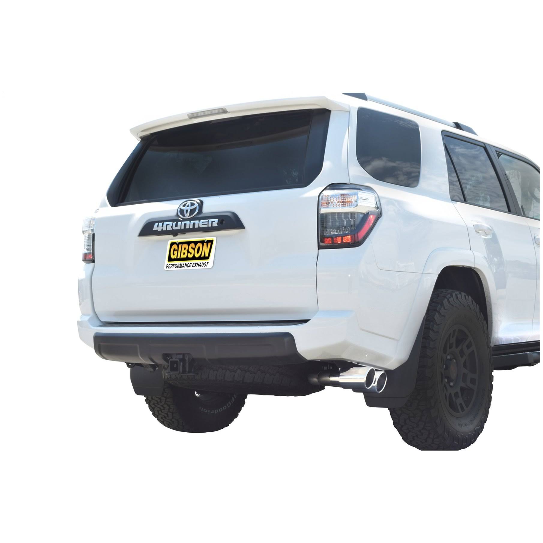 Stainless Cat Back Dual Sport Exhaust System Z963
