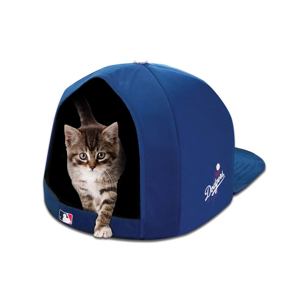 Plush Edition Cap Z559