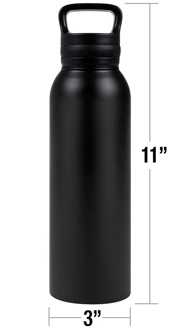24 oz Insulated Stainless Steel Water Bottle with Loop Cap T2825