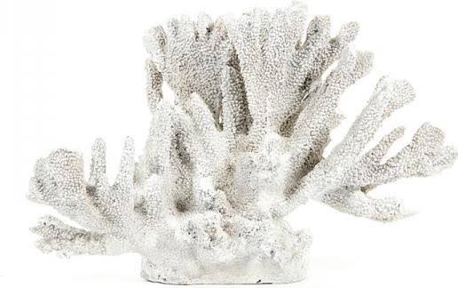 Coral White Black Polyresin Decor A3258