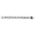 Hydraulic Roller Camshaft T7266