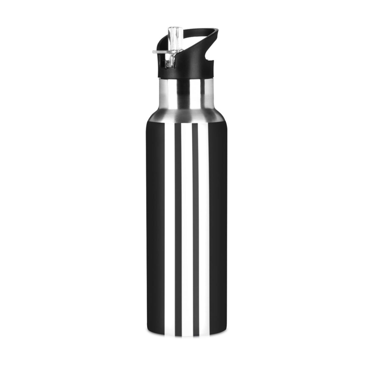 20 OZ Vacuum Insulated Stainless Steel Water Bottle with Straw Lid T74072